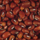 Cowpea