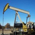 The panel will provide scientific advice on the use of resources such as oil