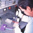 Venezuelan companies must allocate part of their income to science programmes