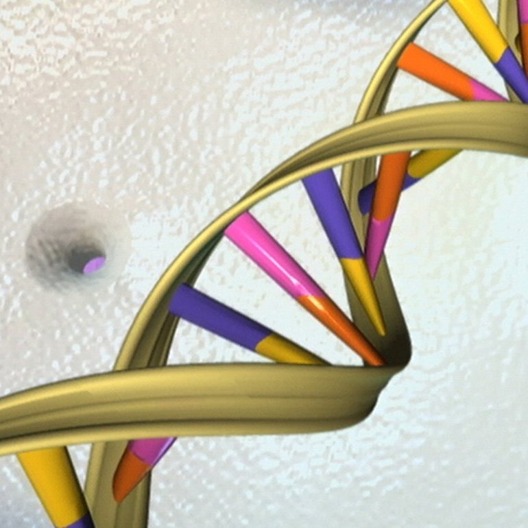 DNA_NHGRI