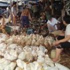 Malaysia has had a recent bird flu outbreak