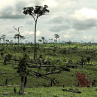 Deforestation in Brazil