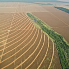 Deforestación en el Mato Grosso 
