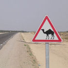 A desert