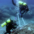 Biologists record algal diversity during an underwater survey