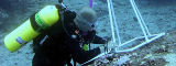 Biologists record algal diversity during an underwater survey - Flickr/ NOAA Photo Library