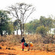 Drought in Kenya