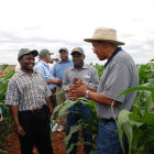 Drought Tolerant Maize for Africa partners in the field