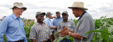 Drought Tolerant Maize for Africa partners in the field by Flickr/CIMMYT