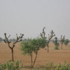 Drylands, India