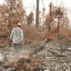 Peatland fires are a major source of carbon dioxide emissions 
