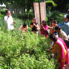 Journalists are taught about the smells of various herbs