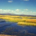 Rich ecosystems like Lake Titicaca in Peru are threatened by climate change