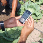 Farmers with a mobile phone