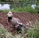 The deal will help agriculture in China's Henan province
