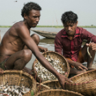 Fishermen in Bangladesh Fishermen in Bangladesh