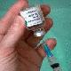 Developing countries could lose out in access to bird flu vaccines