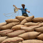 A farmer in India gathers together sacks of rice, India