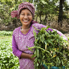 A farmer in Cambodia