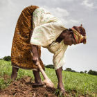 Farmer in Mali