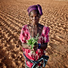 Farmers are betting on hardier bean varieties - Flickr/Oxfam International