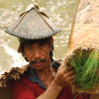 A farmer in the Philippines