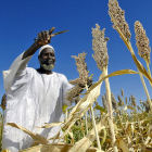Farmer in Sudan