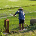 A farmer in Vietnam