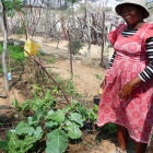 A farmer in Botswana