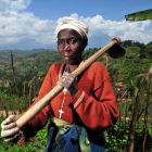 Farmer in Rwanda - FLickr\CIAT (by Neil Palmer)
