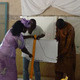 A training session for farmers in Senegal