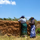 Farmers examining water tank 