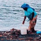 By fishing only in restricted areas, Fijians have reversed falling fish catches