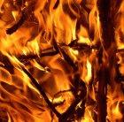 Burning stalks releases carbon dioxide