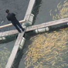 Fish farm