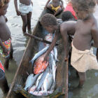 Small-scale fisheries, Lavella Island