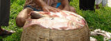 Community-based fisheries, Bangladesh - Flickr/Water and Food