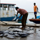 Fishermen in Maldives Fishermen in Maldives