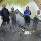 Fishery Fishery