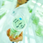 Biotechnology research laboratory - CIAT by Neil Palmer