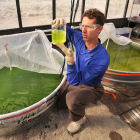 Researchers at algal growth tanks