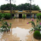 The Soil Sciences Division of the Agricultural Research Institute