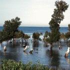 Countries such as Madagascar are at risk of flooding due to climate change