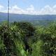 Forests in Sarawak, Malaysia