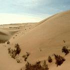 The plan aims to harness the solar power of the desert