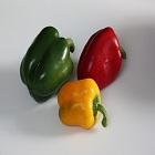 Green, yellow and red bell peppers from the capsicum annuum plant.