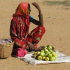 Guava seller