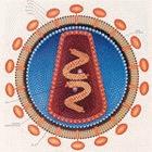HIV may be getting weaker