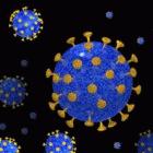 Microbicides are gels or creams that can prevent the spread of sexually transmitted diseases such as the HIV virus pictured here