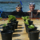 Plant pots on lake platform with scientists 